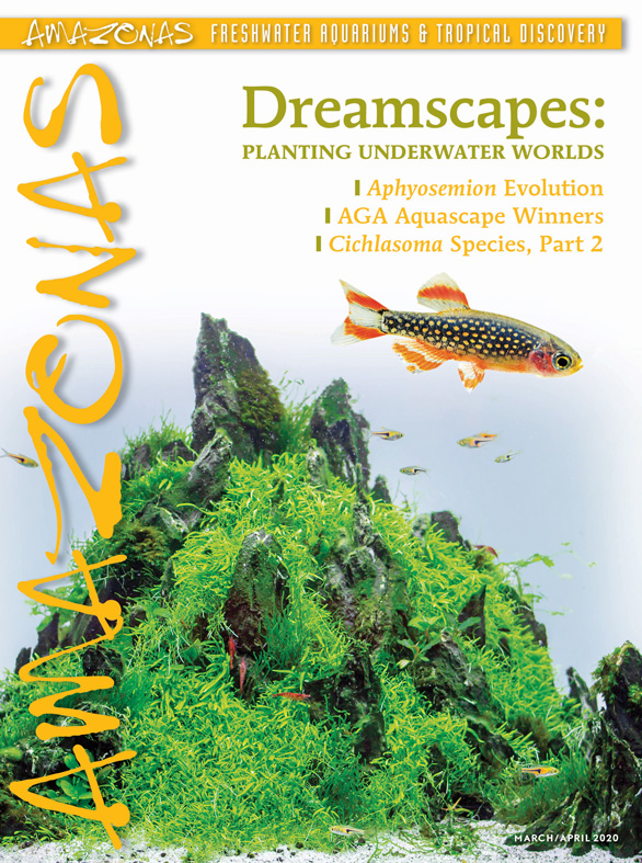 Vol 9.2 2020: Dreamscapes: Planting Underwater Worlds