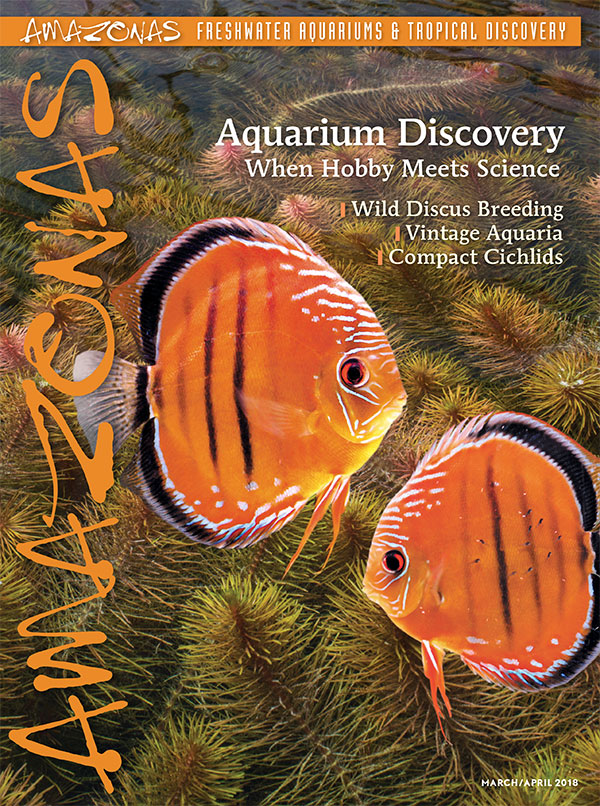 Vol 7.2 2018: Aquarium Discovery