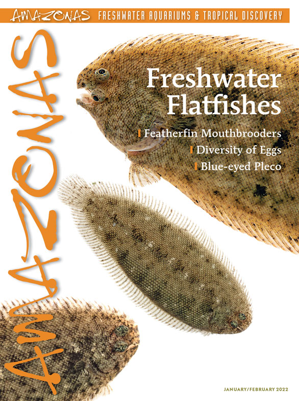 Vol 11.1 2022: Freshwater Flatfishes