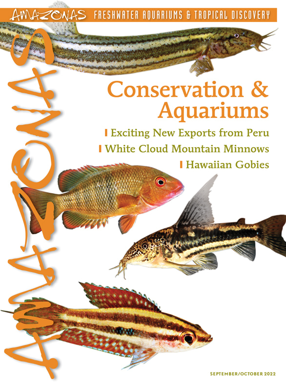 Amazonas Vol 11.5 2022: Conservation &amp; Aquariums