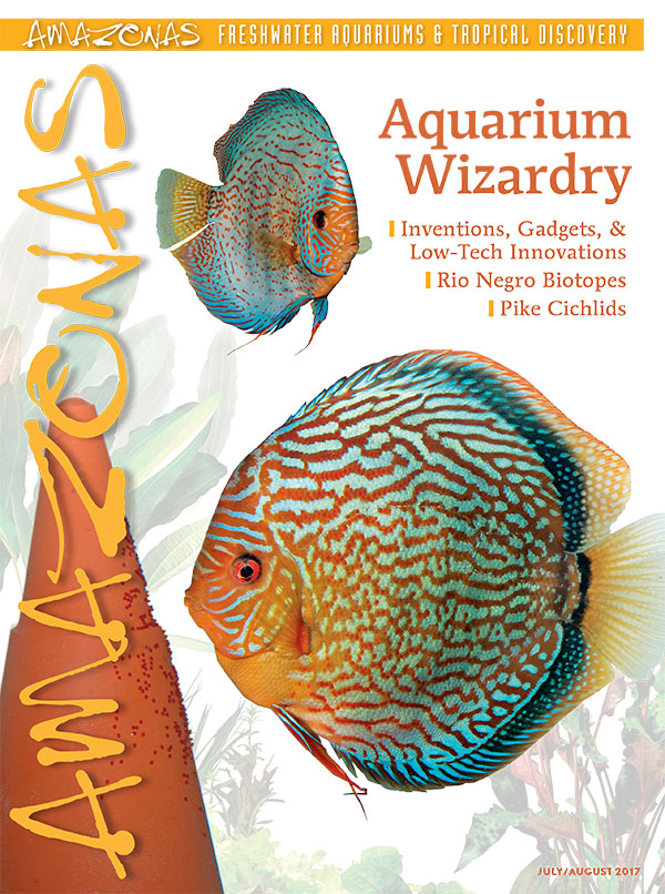 Amazonas Vol 6.4 2017: Aquarium Wizardry