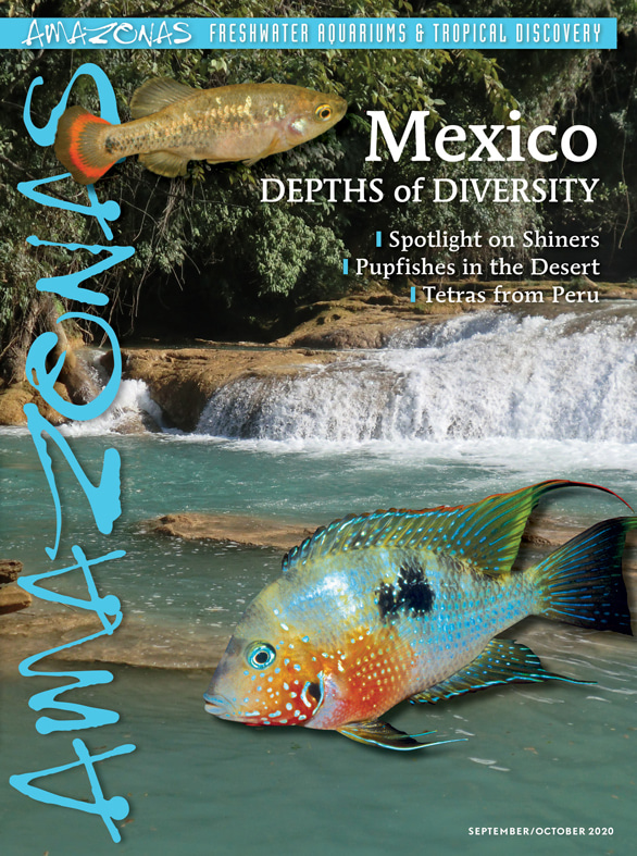 Amazonas Vol 9.5 2020: MEXICO – Depths of Diversity