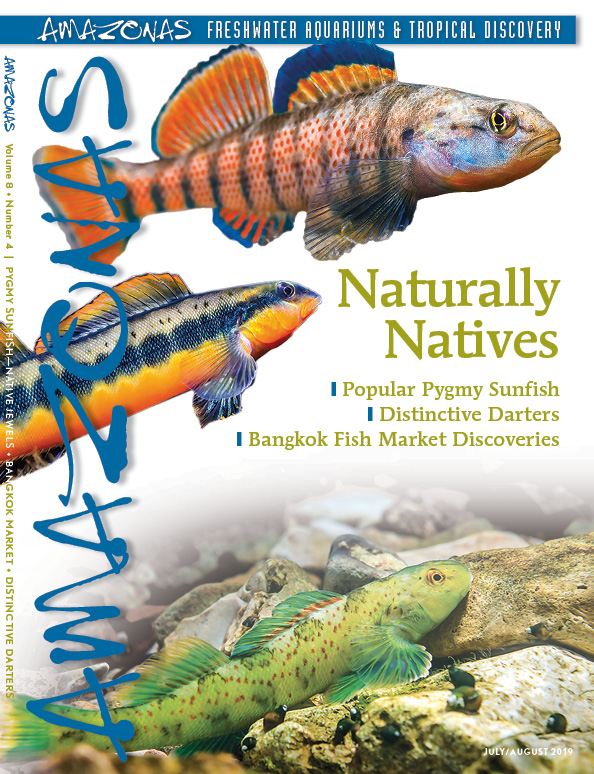 Vol 8.4 2019: Naturally Natives