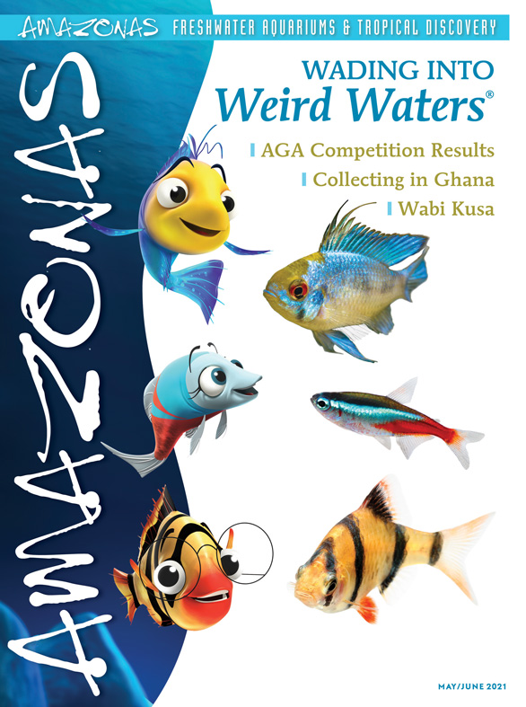 Vol 10.3 2021: Wading Into Weird Waters®
