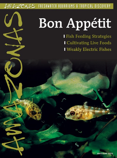 AMAZONAS May/Jun 2023 Bon Appétit
