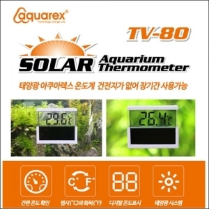 아쿠아렉스 태양광 디지털 온도계 [TV-80 